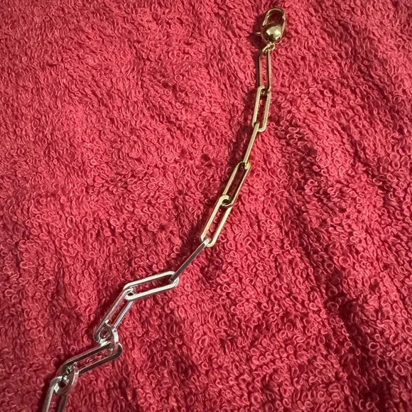 Jenny Bird Andi Paper Clip Chain Bracelet